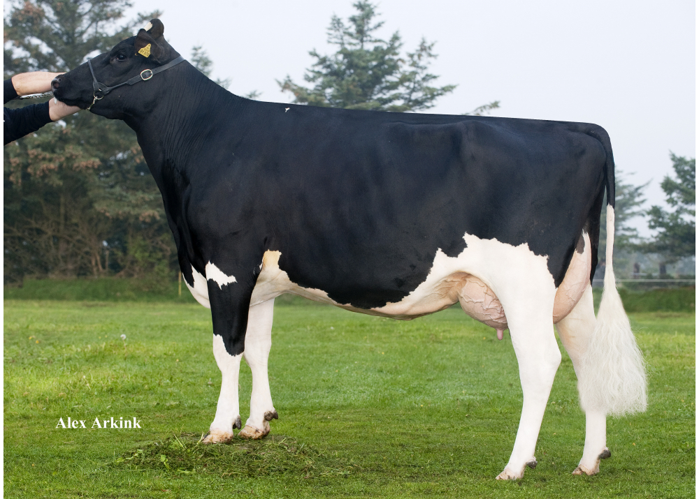 RUW Study - grand-mère de IPNOS