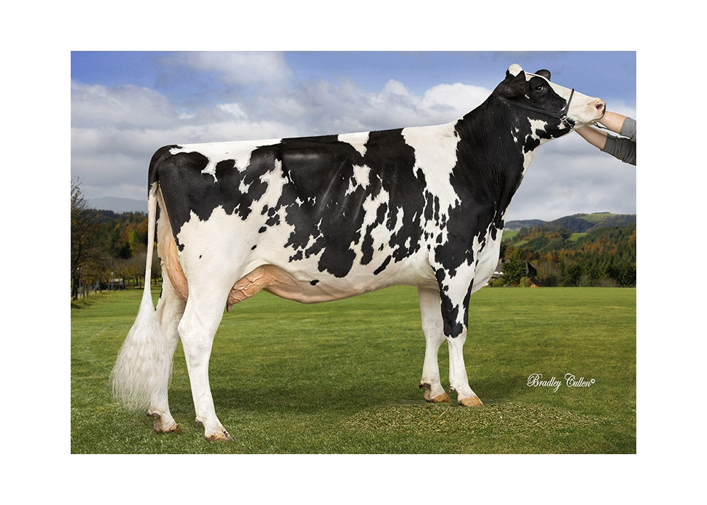 Col Carmen, great mother de NADRAC