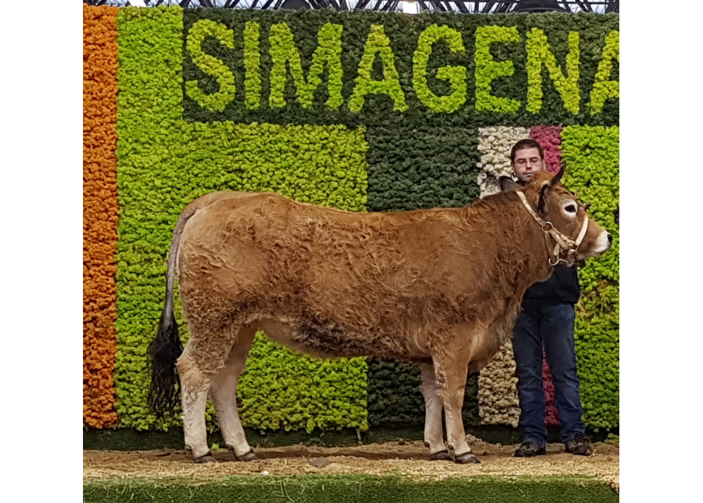 Noble, daughter of IMPERIAL GD - Owner: GAEC Modenel (Fr.)