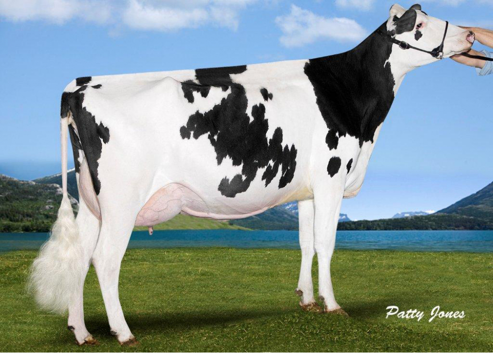 PACO's Great Grandmother PACO's Great Grandmother