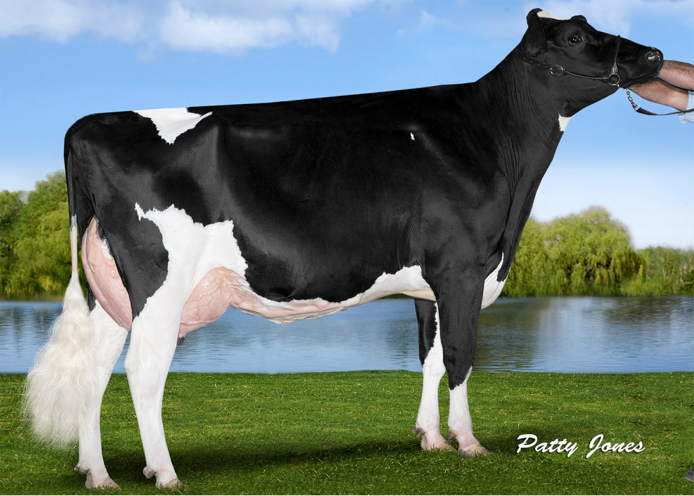 Ransom Rail Facebook PARIS, great grandmother of PADINGTON