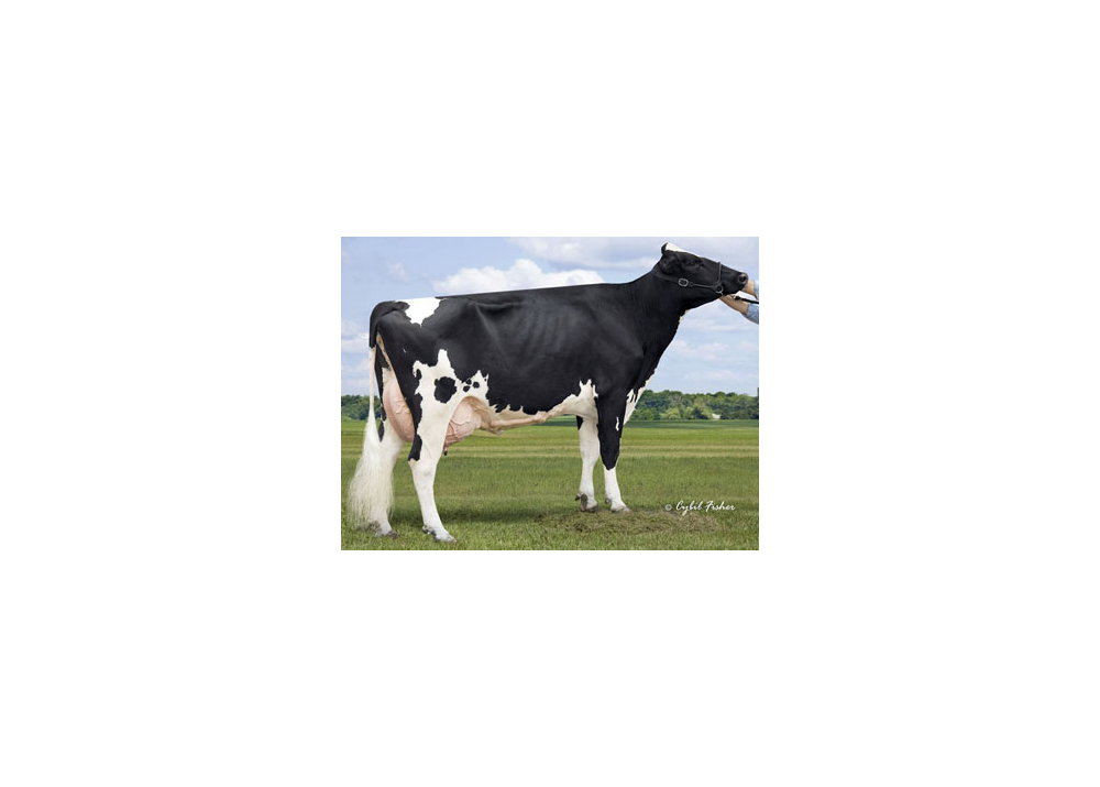 Clear : 4th mother of ROMEO