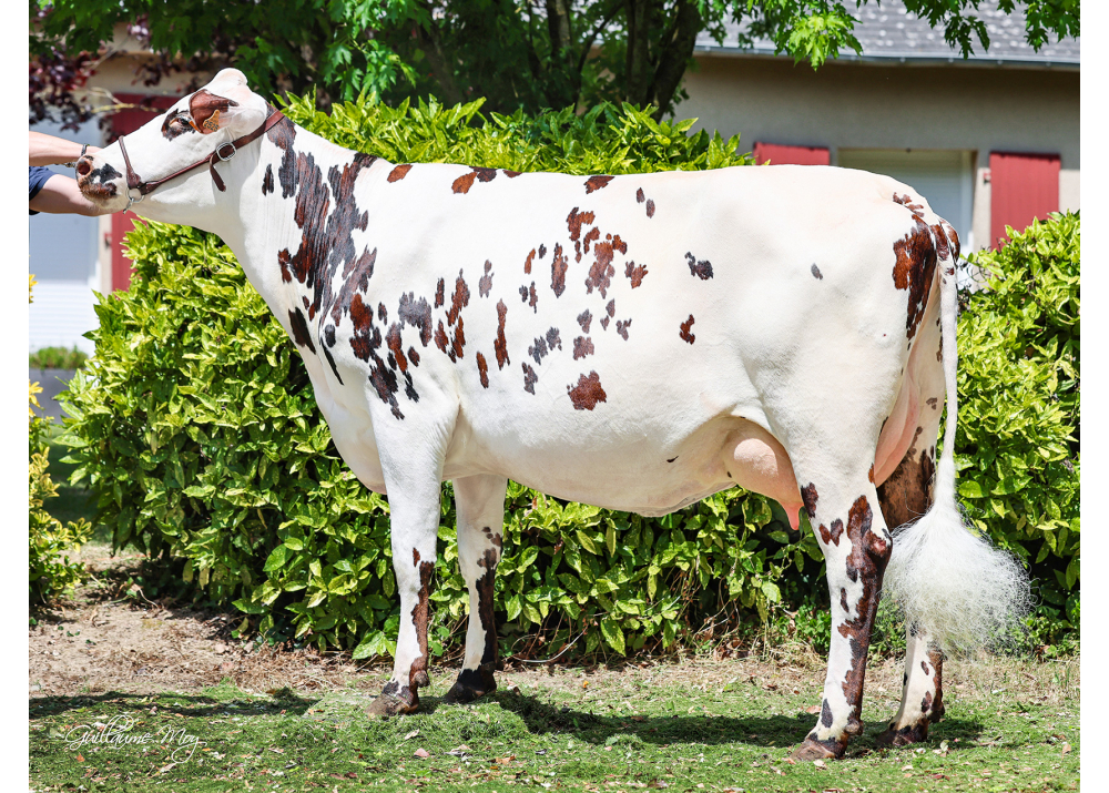 Rhubarbe, hija de NAGUA