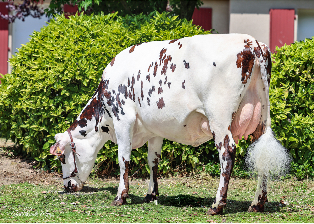 Rhubarbe, hija de NAGUA