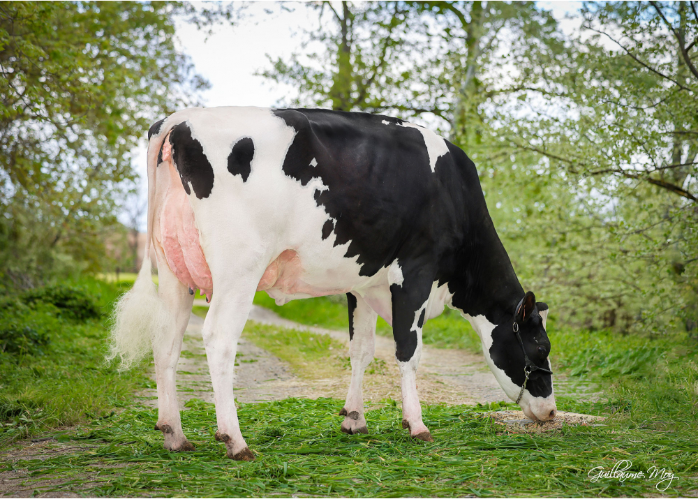 Pompiwoune, madre de POM UNITO