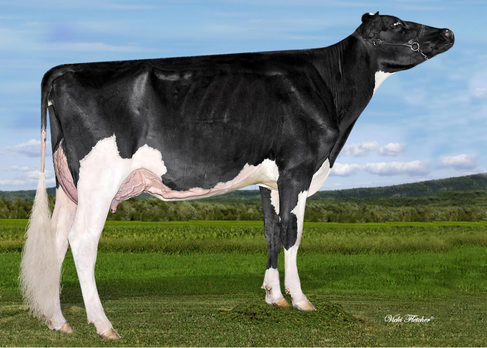 Mère Butlerview Uno Card