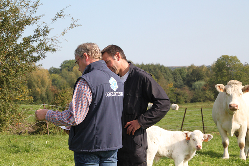 Robot de traite pour vache