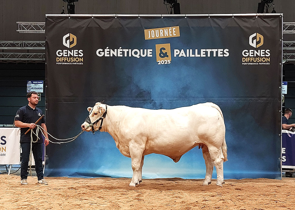 TEQUILA PP, dam of SAMY