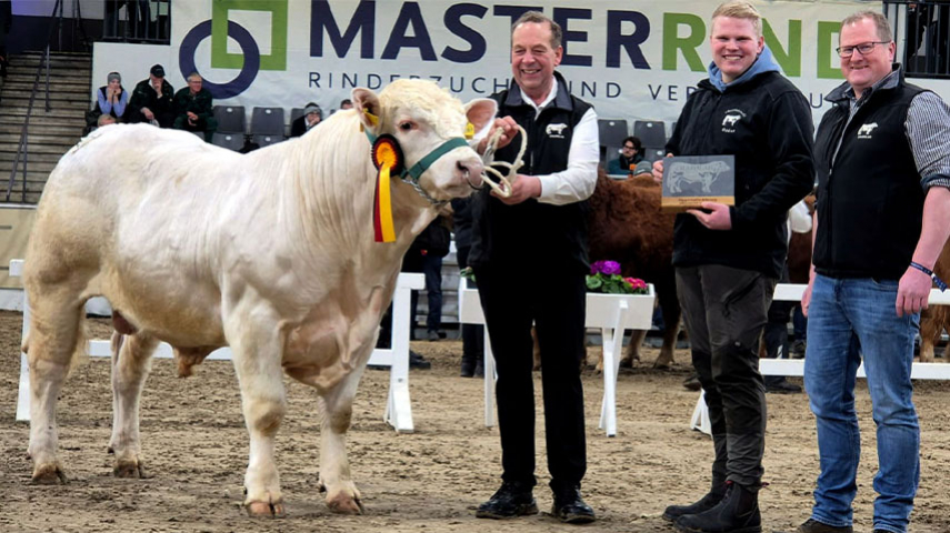 Samy Wins “Best Charolais of the Fair” in Germany