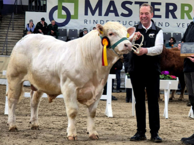 Samy Wins “Best Charolais of the Fair” in Germany